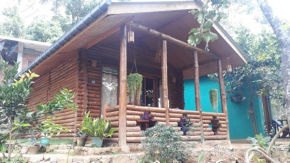 Wood House -Ella